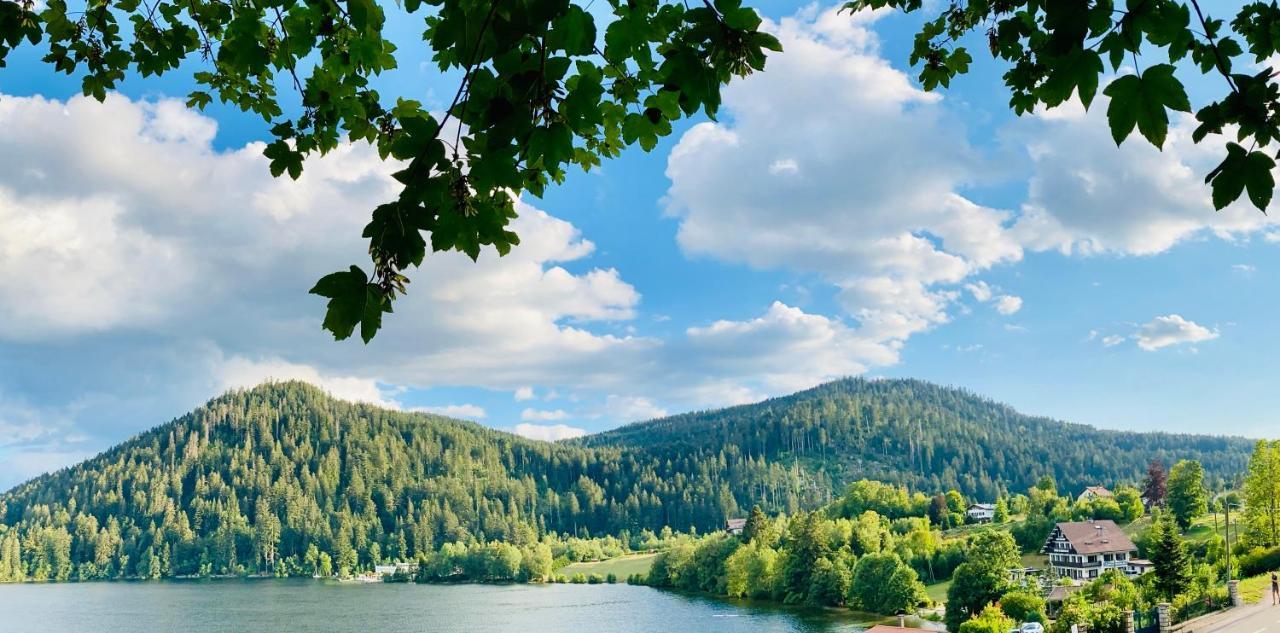 Le Chalet Au Bord Du Lac Gérardmer Εξωτερικό φωτογραφία