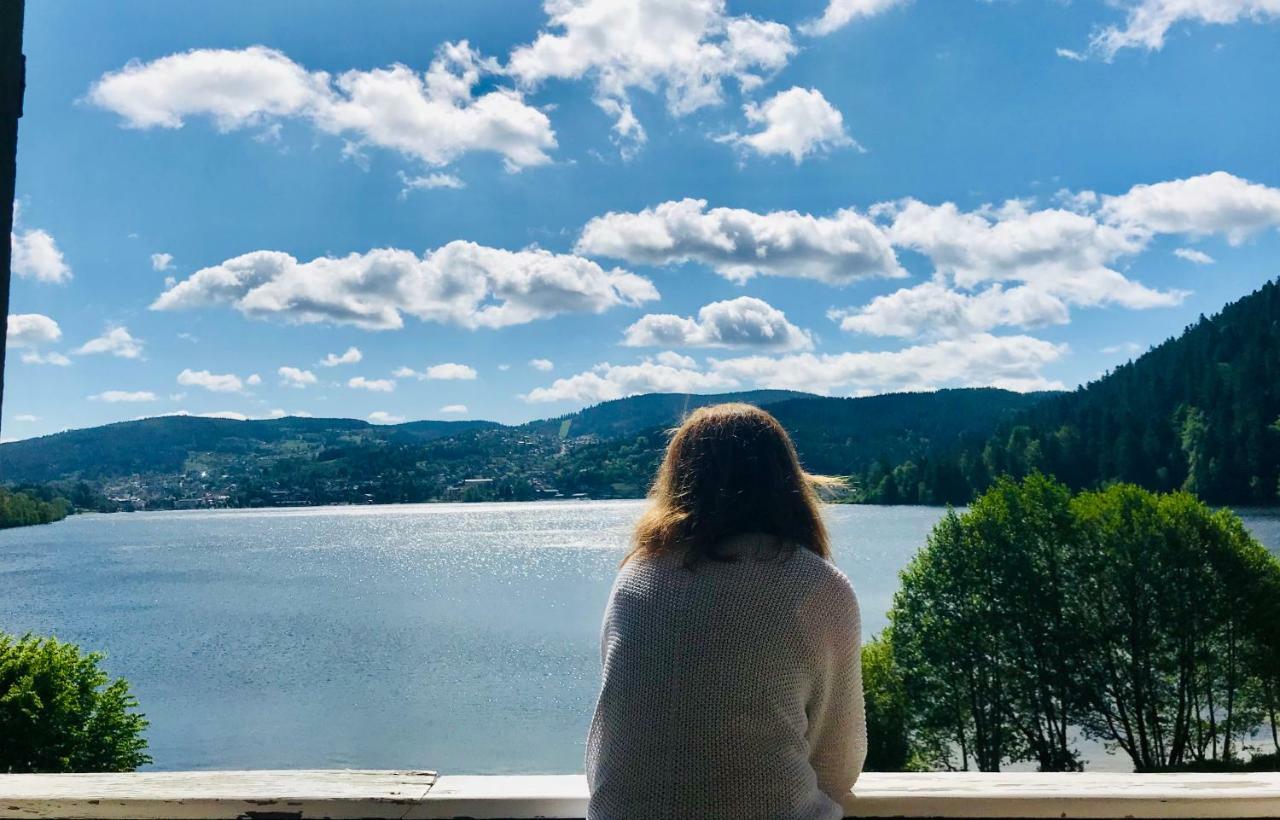 Le Chalet Au Bord Du Lac Gérardmer Εξωτερικό φωτογραφία